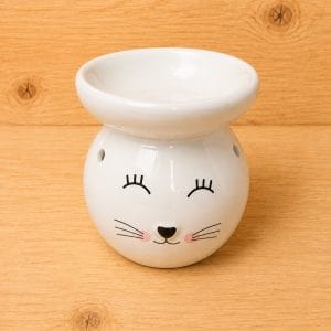 Chat (blanc)