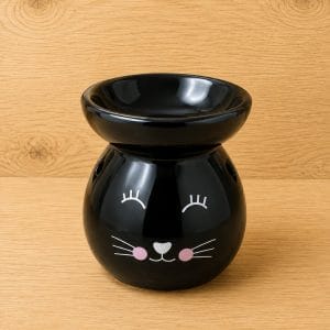 Chat (noir)